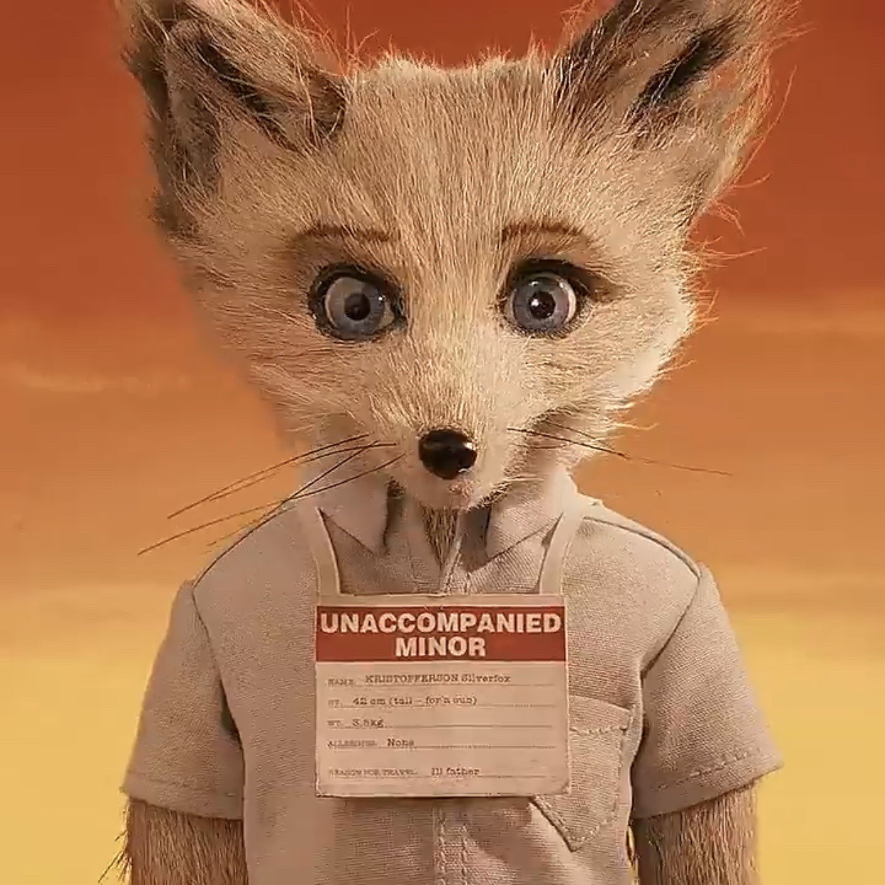 Kristofferson Silverfox, Fantastic Mr. Fox
